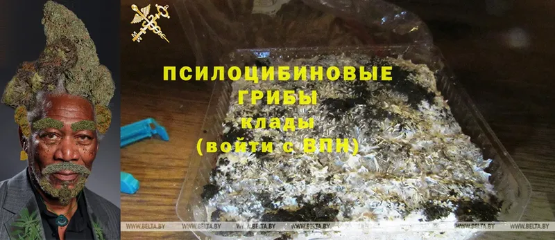 Псилоцибиновые грибы Magic Shrooms  Рыбное 